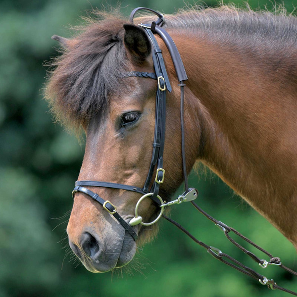 ATTACCO EQUI LONGE IN CUOIO Attacchi 